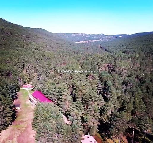 22 slaapkamer Villa te koop in Orea - € 550.000 (Ref: 5884001)