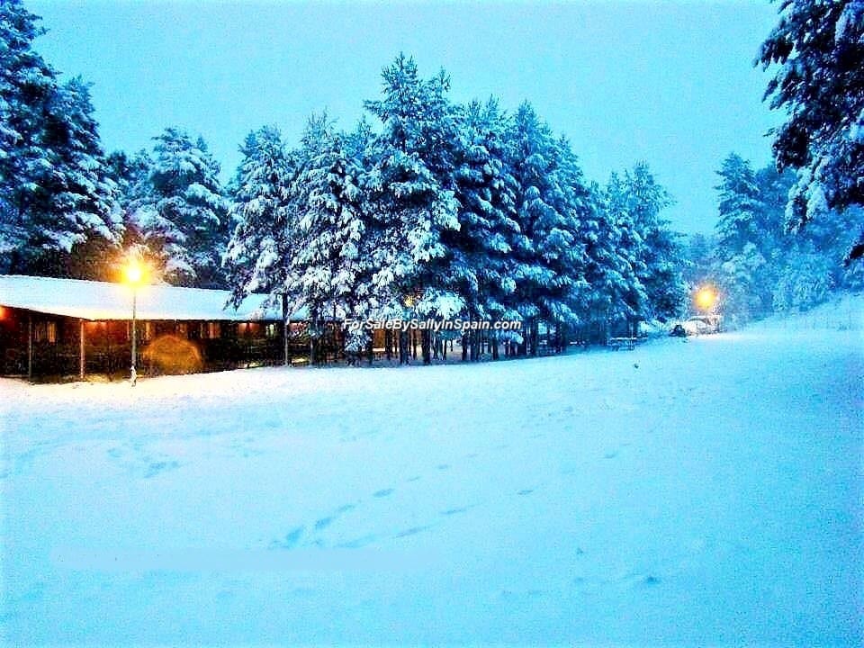 22 soveværelse Villa til salg i Orea - € 550.000 (Ref: 5884001)