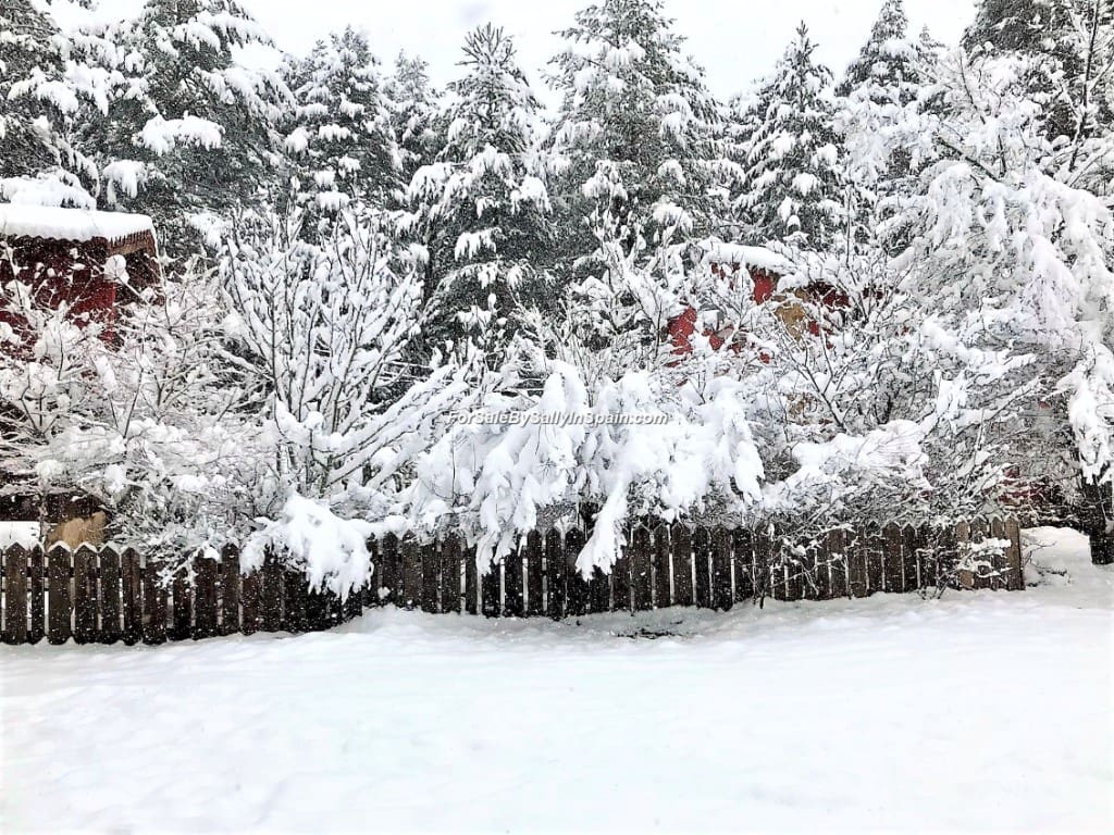 22 soveværelse Villa til salg i Orea - € 550.000 (Ref: 5884001)