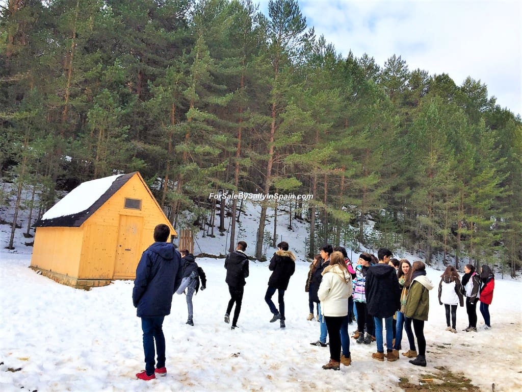 22 soveværelse Villa til salg i Orea - € 550.000 (Ref: 5884001)