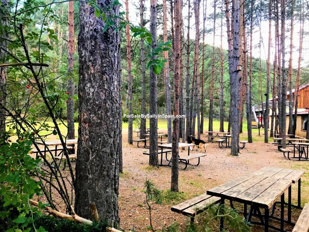 22 soveværelse Villa til salg i Orea - € 550.000 (Ref: 5884001)