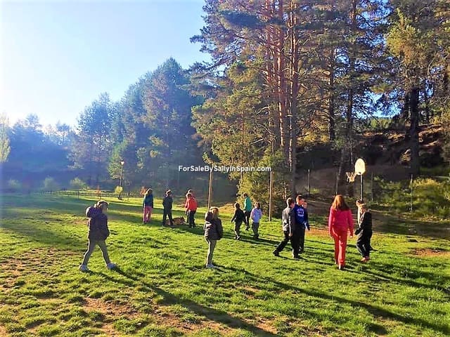 22 slaapkamer Villa te koop in Orea - € 550.000 (Ref: 5884001)