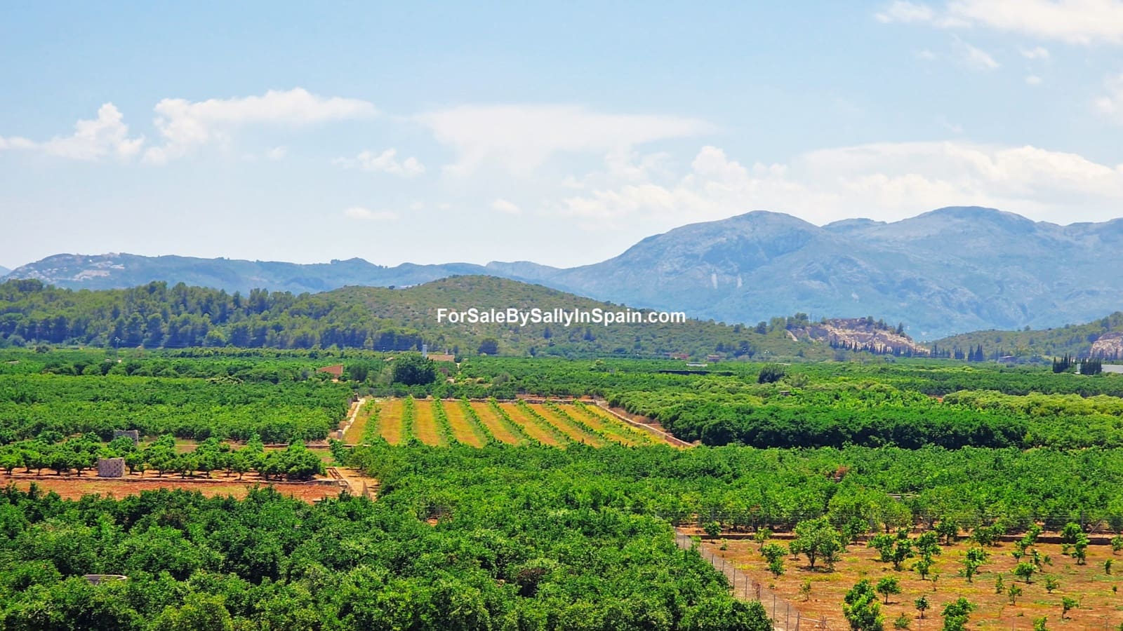 5 soveværelse Villa til salg i Oliva med swimmingpool garage - € 549.000 (Ref: 7720615)