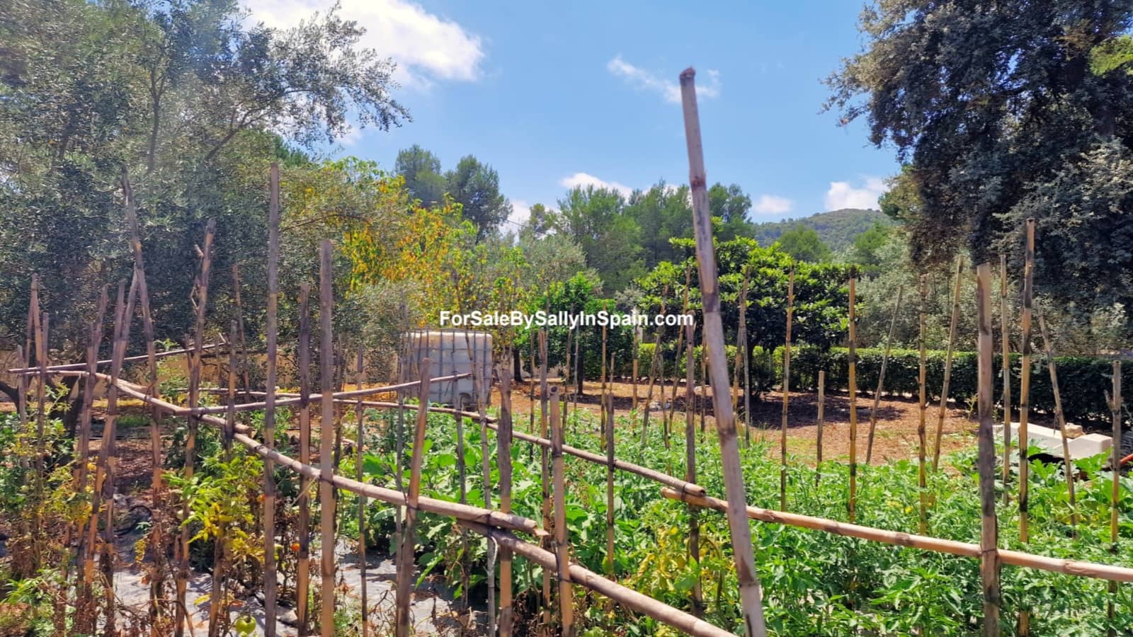 3 soveværelse Villa til salg i Villalonga med swimmingpool garage - € 269.000 (Ref: 7772024)