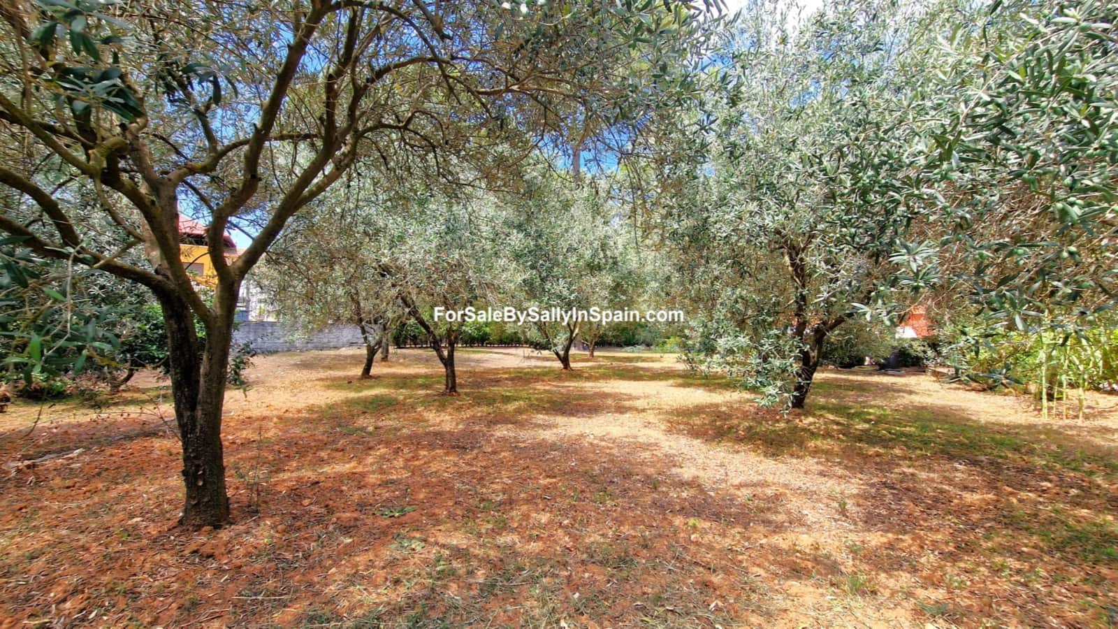 3 soveværelse Villa til salg i Villalonga med swimmingpool garage - € 269.000 (Ref: 7772024)