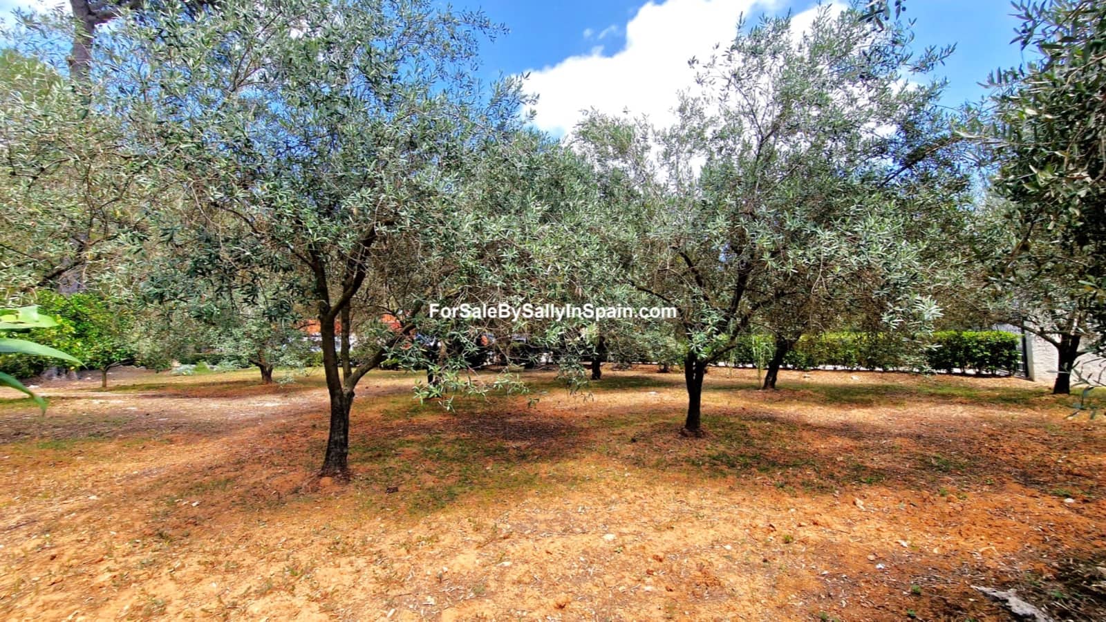 3 soveværelse Villa til salg i Villalonga med swimmingpool garage - € 269.000 (Ref: 7772024)