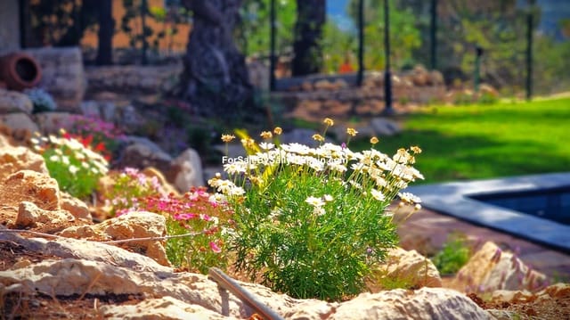 3 soverom Villa til salgs i Gandia med svømmebasseng - € 790 000 (Ref: 8209867)