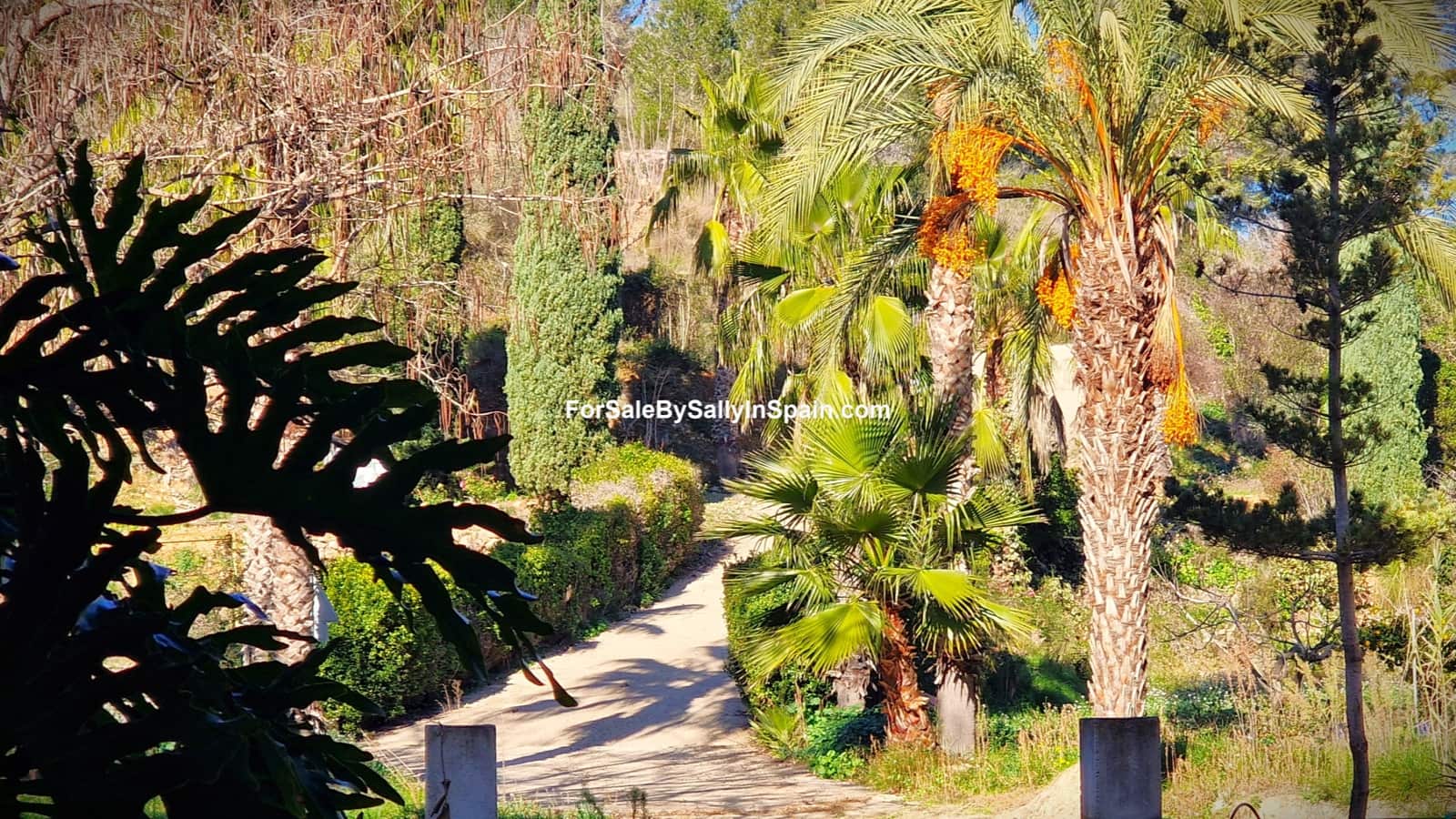 8 soverom Finca/Herregård til salgs i Rafol de Salem med garasje - € 370 000 (Ref: 8807269)