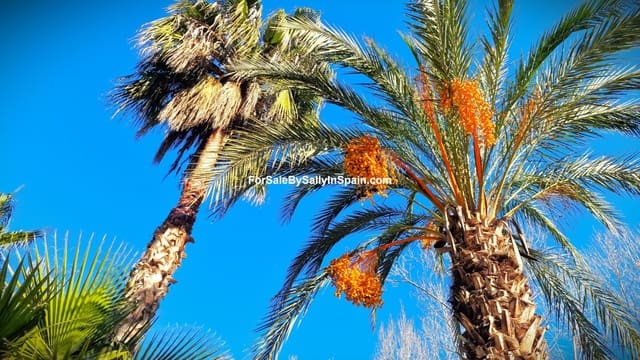 8 soveværelse Finca/Landehus til salg i Ráfol de Salem med garage - € 370.000 (Ref: 8807269)