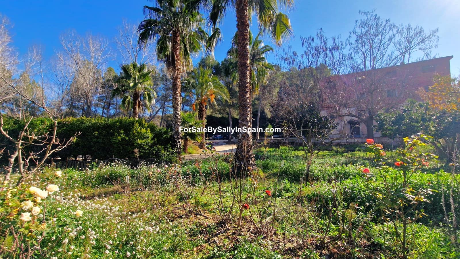 8 soverom Finca/Herregård til salgs i Rafol de Salem med garasje - € 370 000 (Ref: 8807269)