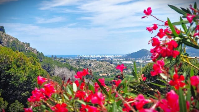 4 soverom Villa til salgs i Gandia med svømmebasseng - € 450 000 (Ref: 9018480)