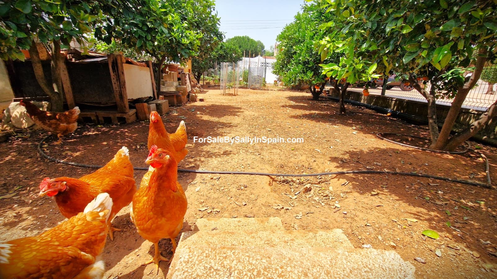 4 soverom Villa til salgs i Palma de Gandia med svømmebasseng garasje - € 299 000 (Ref: 9066851)