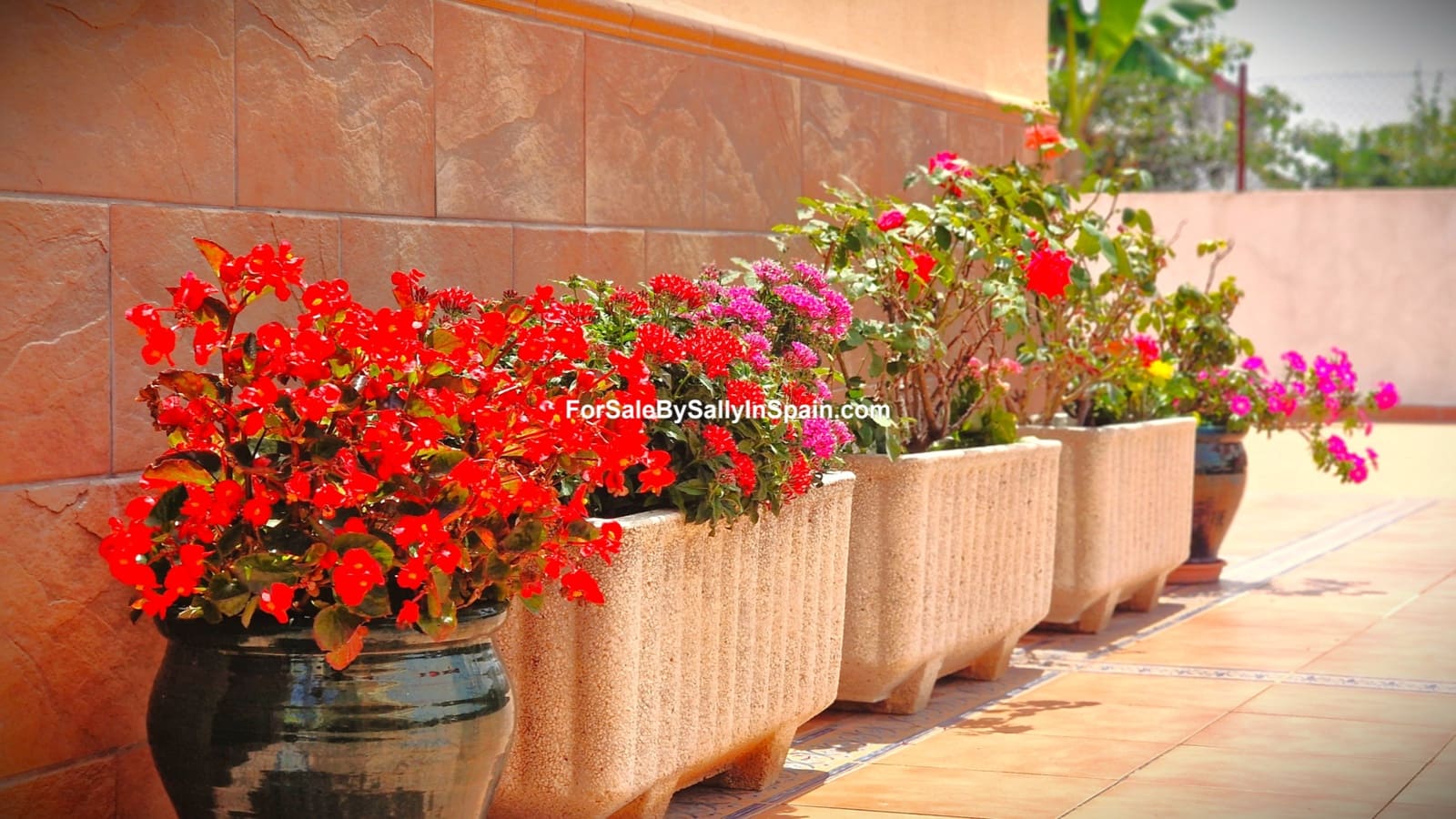 4 soverom Villa til salgs i Palma de Gandia med svømmebasseng garasje - € 299 000 (Ref: 9066851)