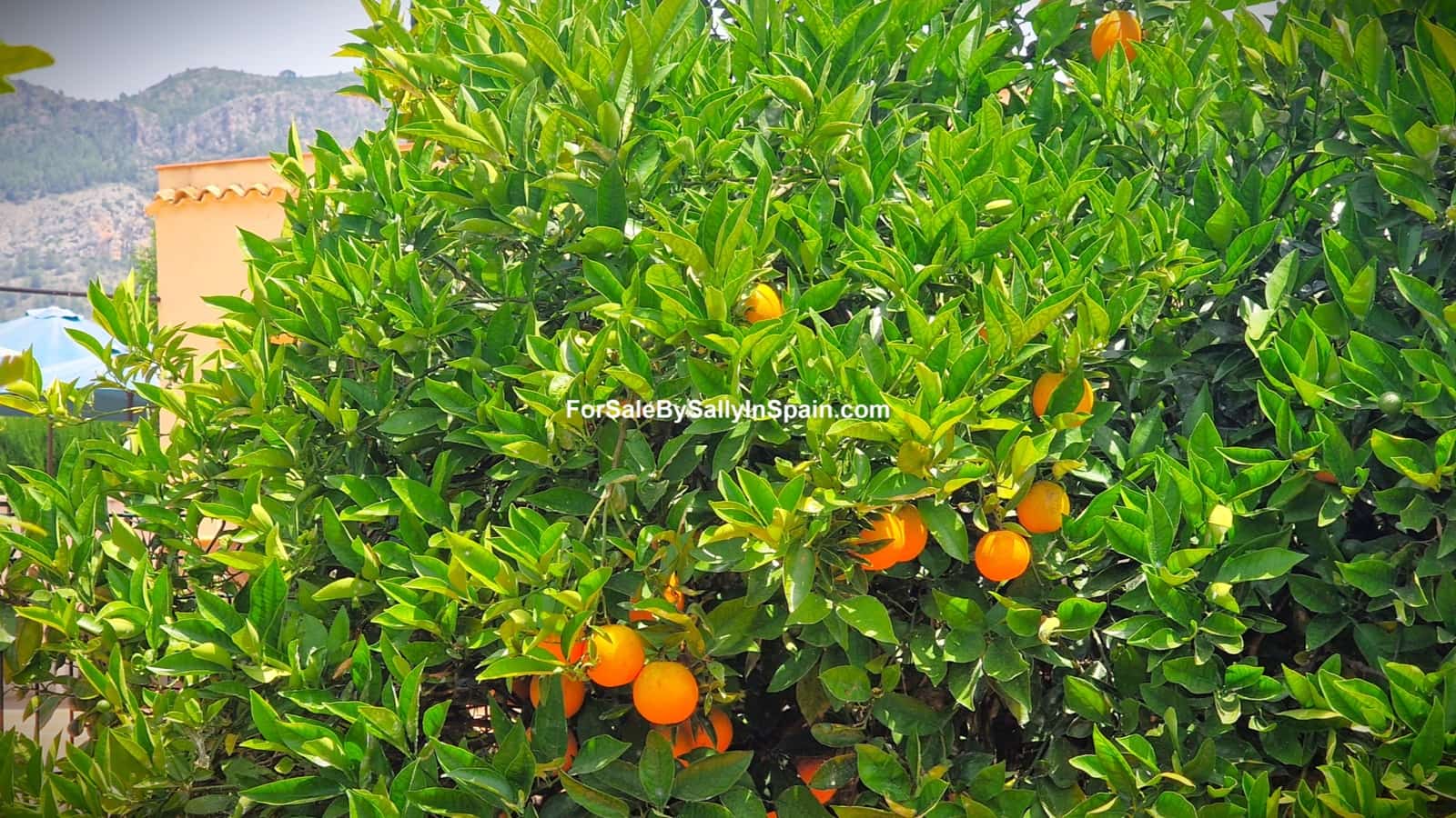 4 soverom Villa til salgs i Palma de Gandia med svømmebasseng garasje - € 299 000 (Ref: 9066851)