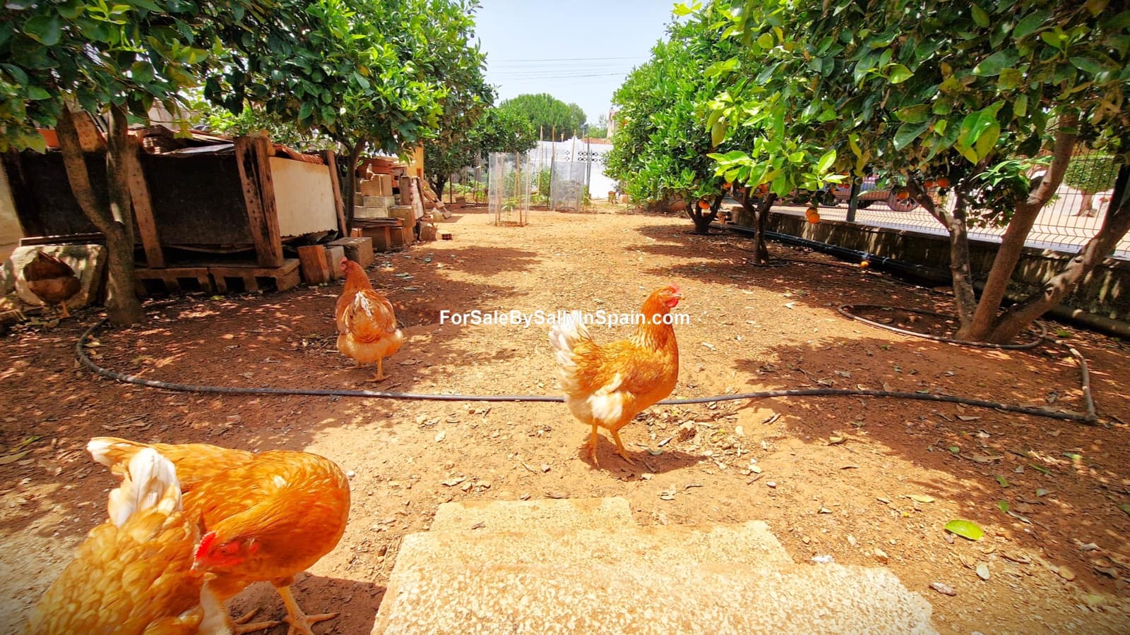 4 soverom Villa til salgs i Palma de Gandia med svømmebasseng garasje - € 299 000 (Ref: 9066851)