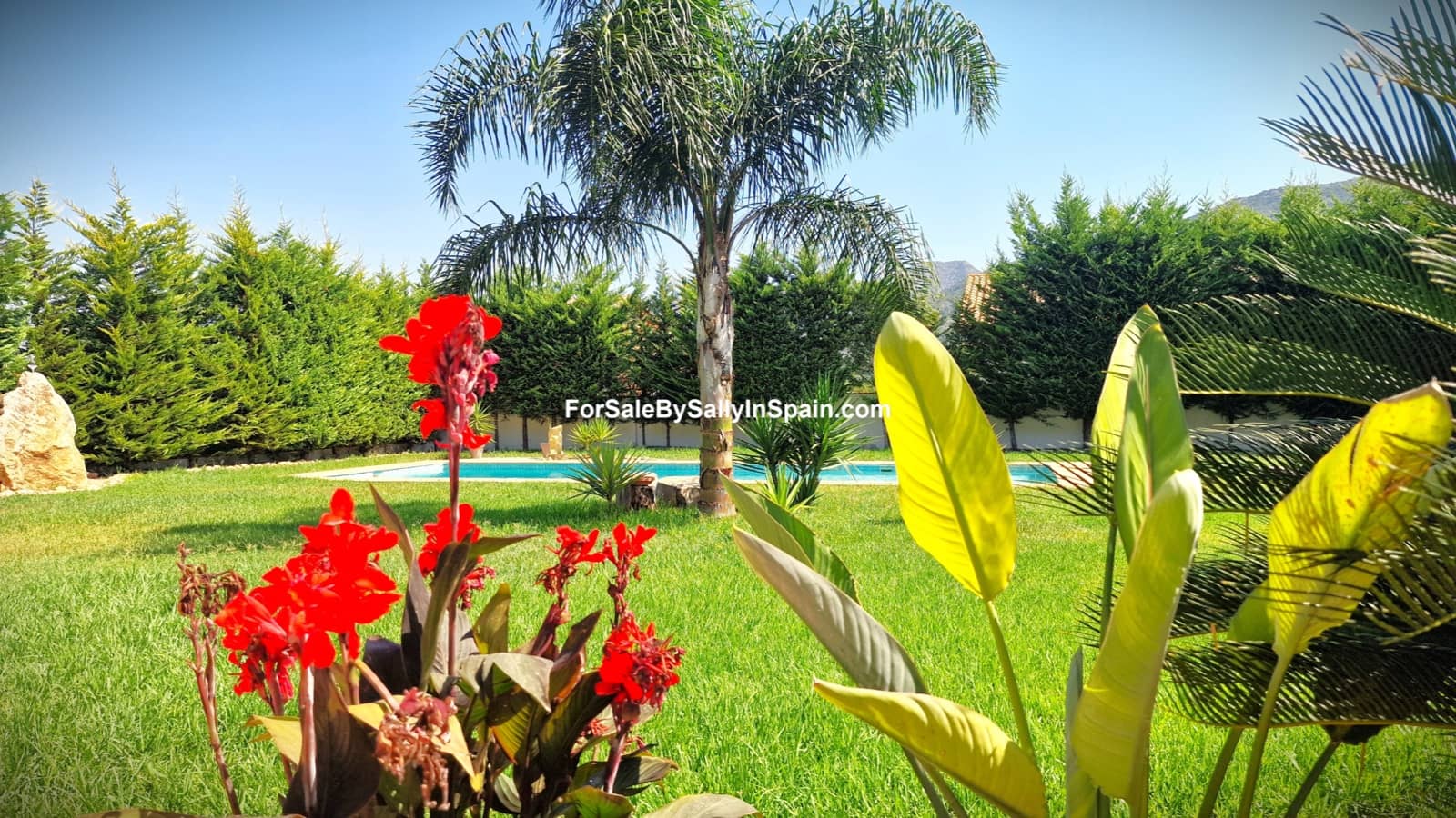 3 soveværelse Villa til salg i Alzira med swimmingpool garage - € 699.000 (Ref: 9131894)