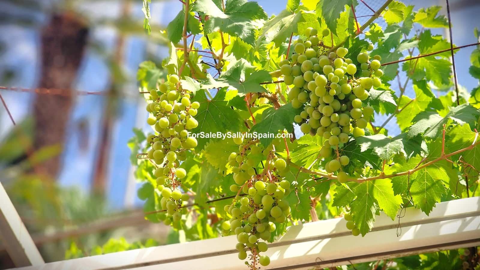 6 soveværelse Villa til salg i Barx med swimmingpool garage - € 495.000 (Ref: 9217774)