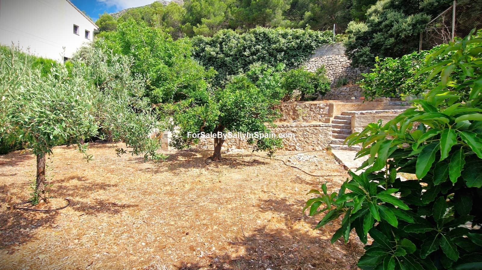 6 soveværelse Villa til salg i Barx med swimmingpool garage - € 495.000 (Ref: 9217774)