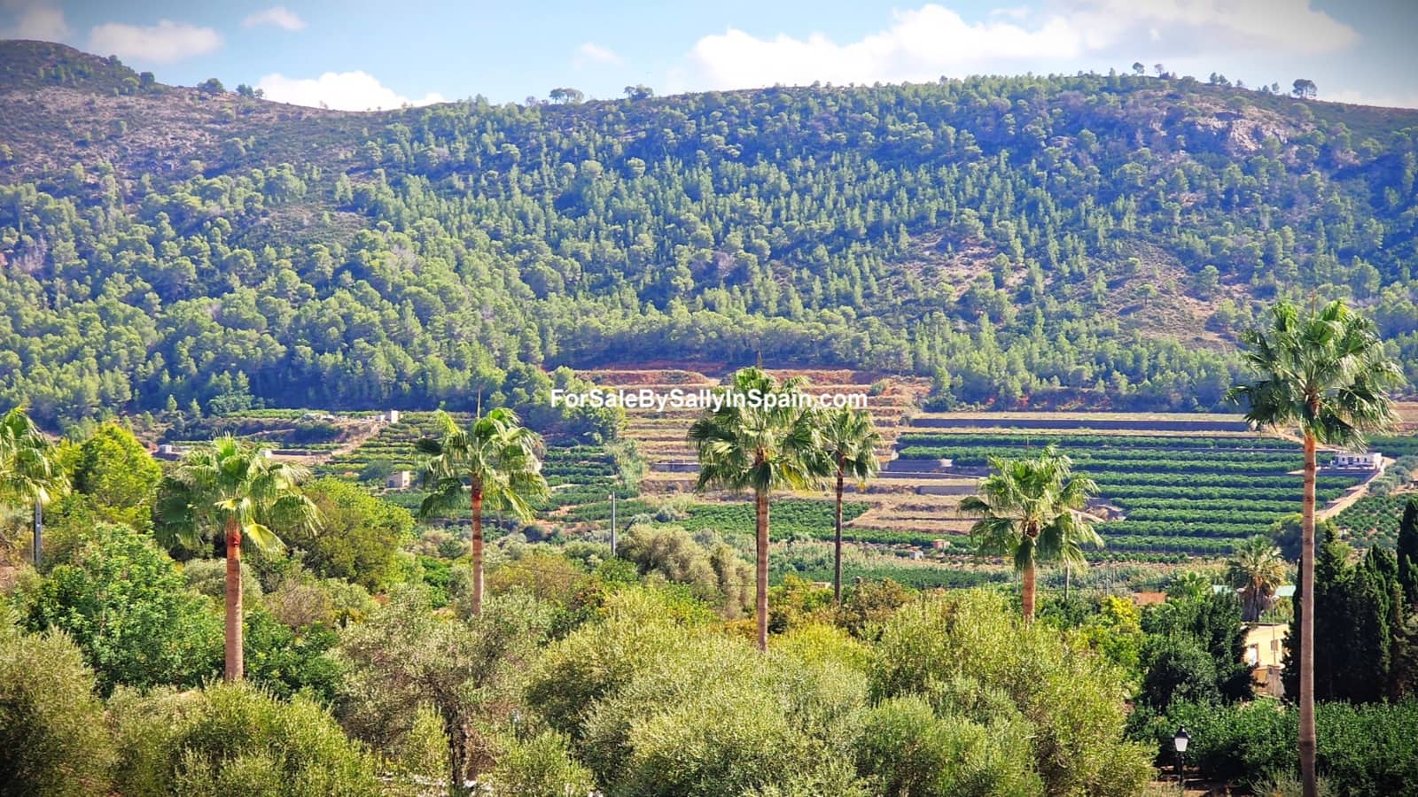 6 bedroom Townhouse for sale in Castellonet de la Conquesta with garage - € 215,000 (Ref: 9394379)