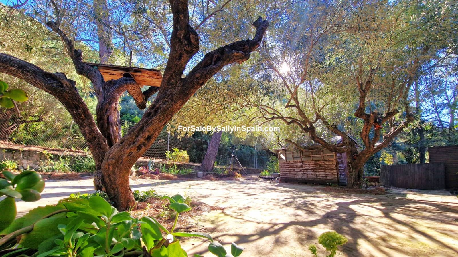 2 bedroom Villa for sale in Villalonga - € 120,000 (Ref: 9395259)