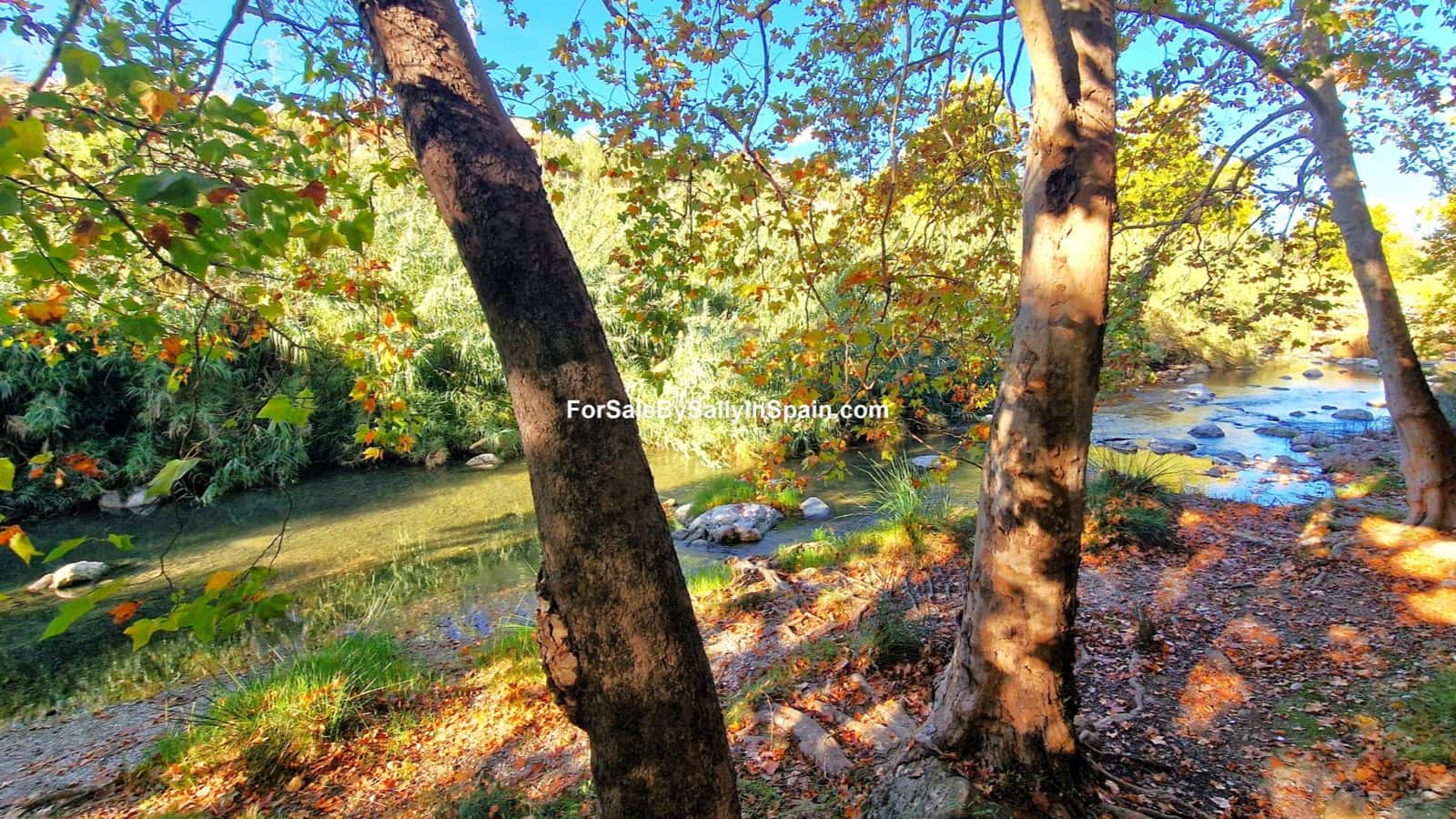 2 bedroom Villa for sale in Villalonga - € 120,000 (Ref: 9395259)