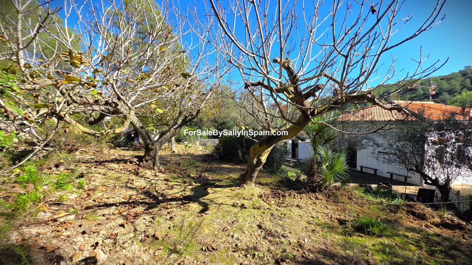 4 Zimmer Villa zu verkaufen in Simat de la Valldigna mit Garage - 149.000 € (Ref: 9395262)