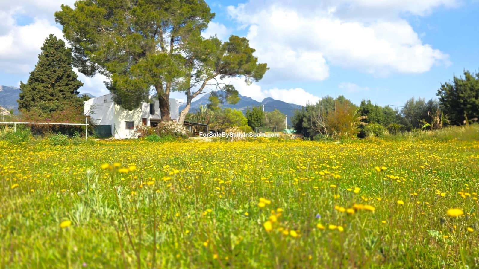 Chalet de 5 habitaciones en Gandia en venta con piscina garaje - 450.000 € (Ref: 9730580)