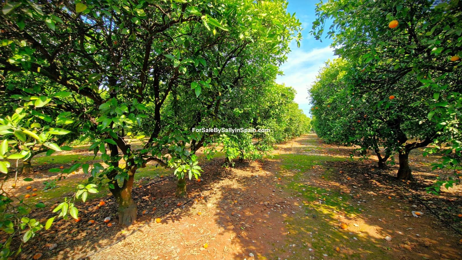 Chalet de 5 habitaciones en Gandia en venta con piscina garaje - 450.000 € (Ref: 9730580)