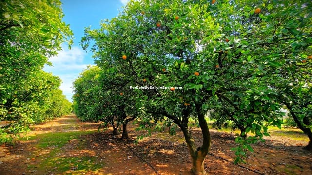 5 bedroom Villa for sale in Gandia with pool garage - € 450,000 (Ref: 9730580)