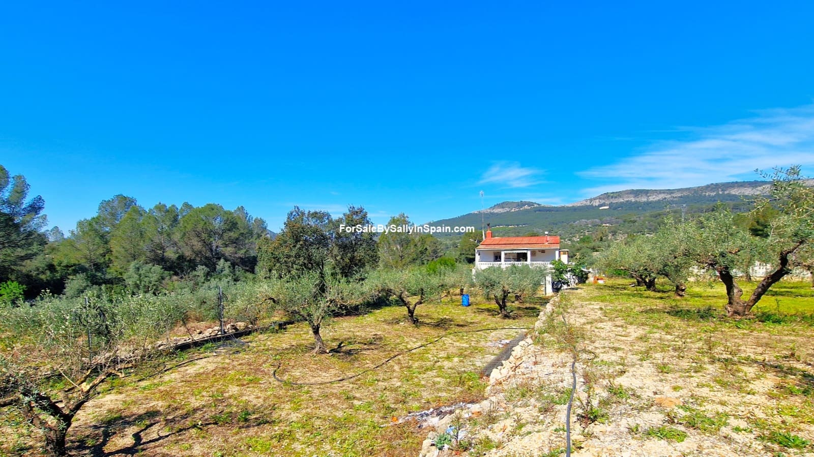 3 bedroom Villa for sale in Beniganim with pool garage - € 189,000 (Ref: 9733826)