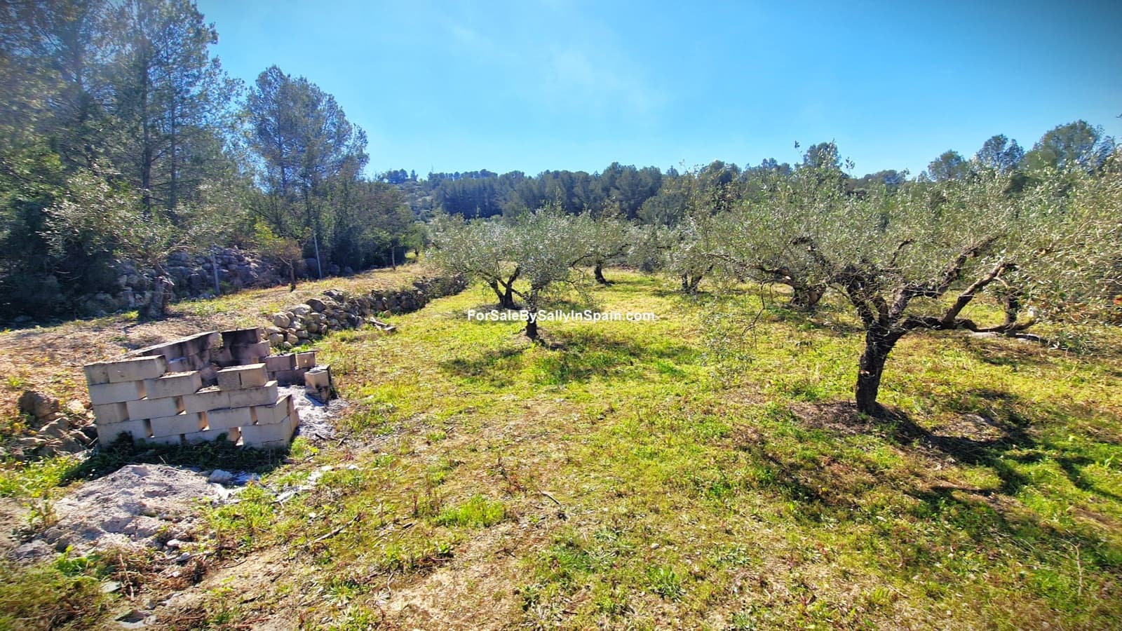 3 bedroom Villa for sale in Beniganim with pool garage - € 189,000 (Ref: 9733826)