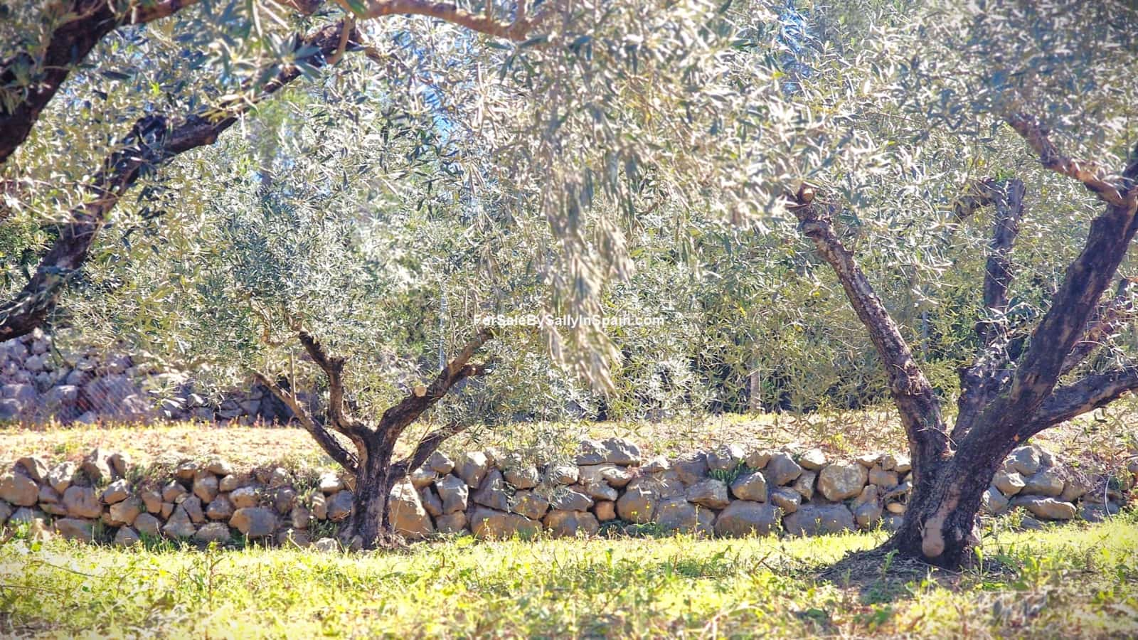 3 bedroom Villa for sale in Beniganim with pool garage - € 189,000 (Ref: 9733826)