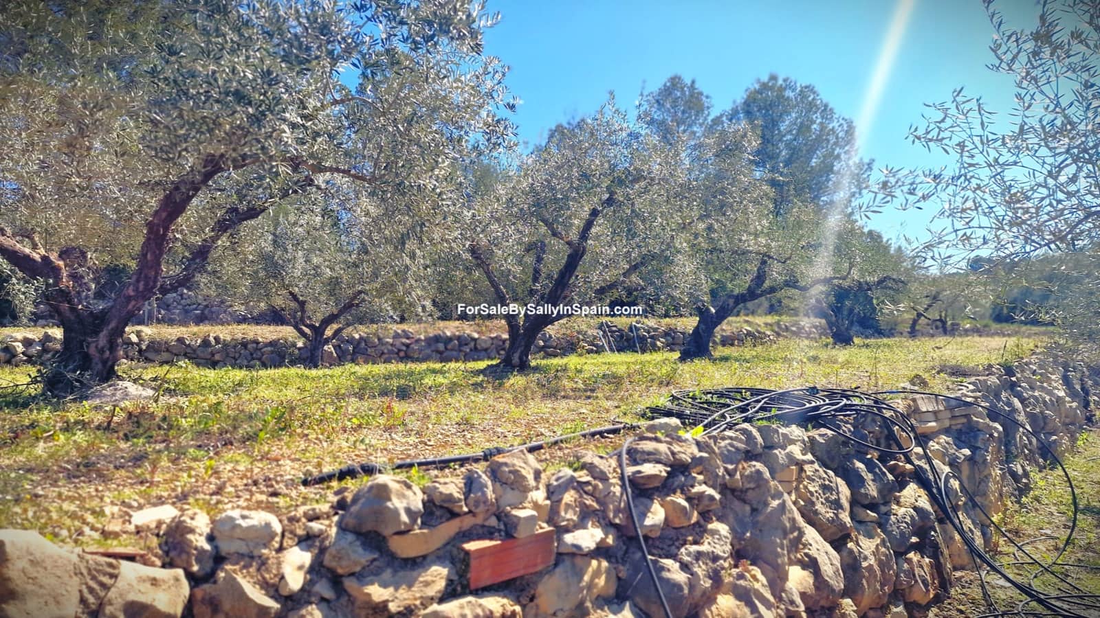 3 bedroom Villa for sale in Beniganim with pool garage - € 189,000 (Ref: 9733826)