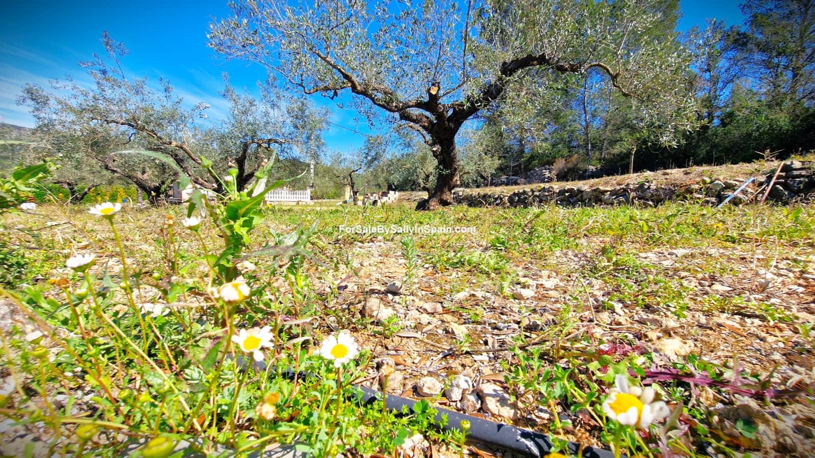 3 bedroom Villa for sale in Beniganim with pool garage - € 189,000 (Ref: 9733826)