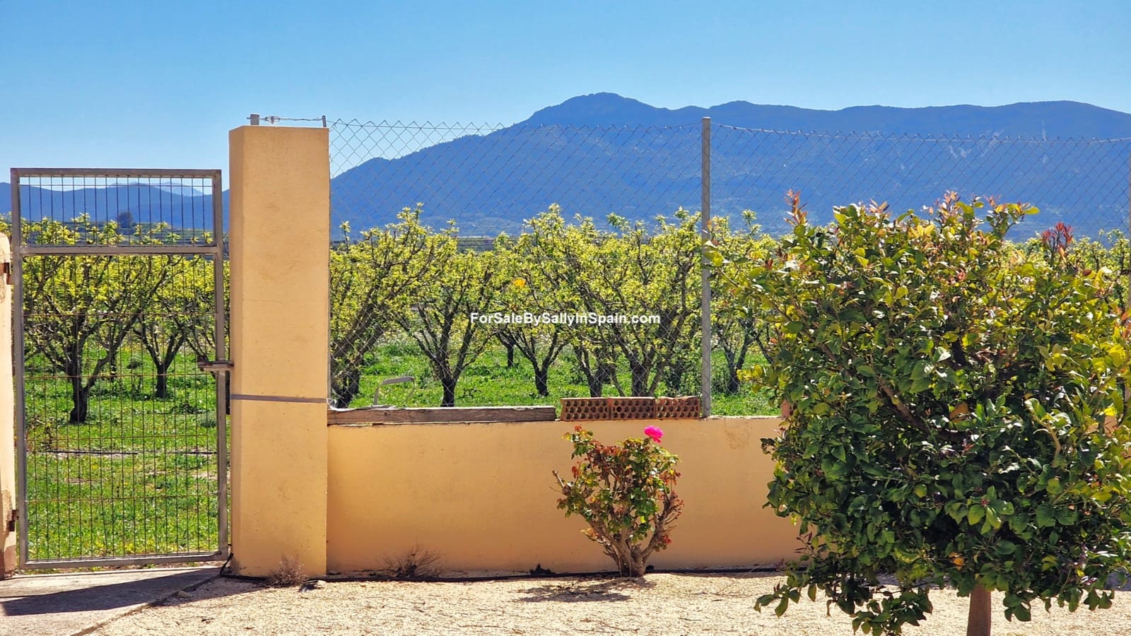 7 bedroom Villa for sale in Beniganim with pool garage - € 475,000 (Ref: 9820724)