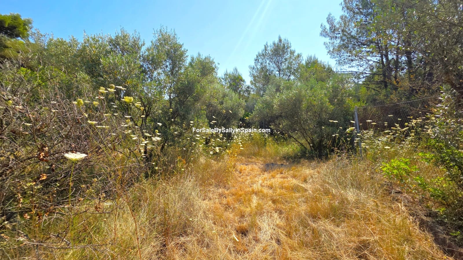 2 soverom Villa til salgs i Villalonga med garasje - € 185 000 (Ref: 9970847)