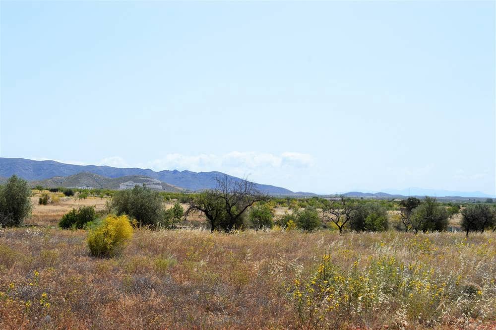 4 slaapkamer Finca/Landhuis te koop in Uleila del Campo - € 230.000 (Ref: 3727007)