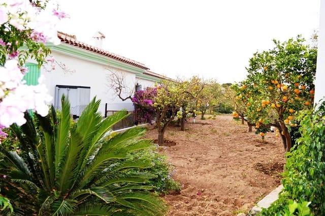 5 soveværelse Villa til salg i Los Gallardos - € 325.000 (Ref: 4555422)