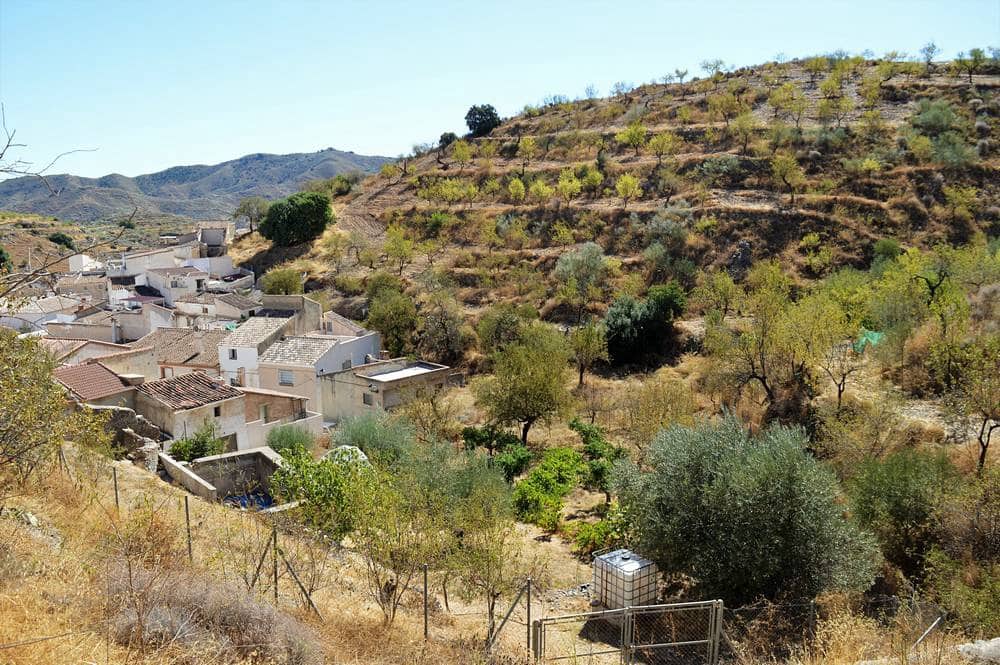 Finca/Country House for sale in Lubrin - € 45,000 (Ref: 7138306)