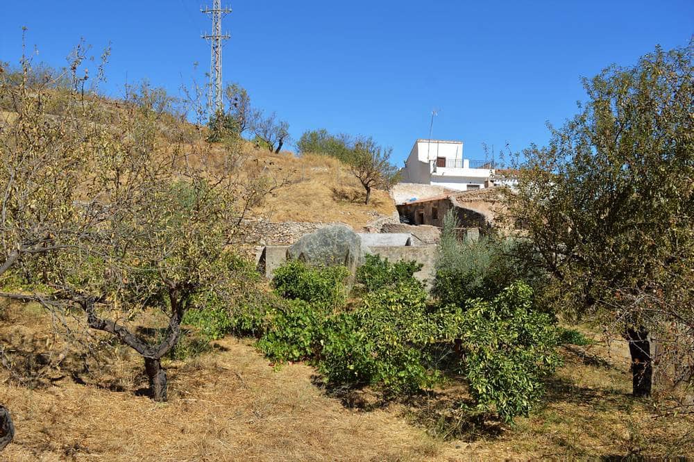 Finca/Country House for sale in Lubrin - € 45,000 (Ref: 7138306)