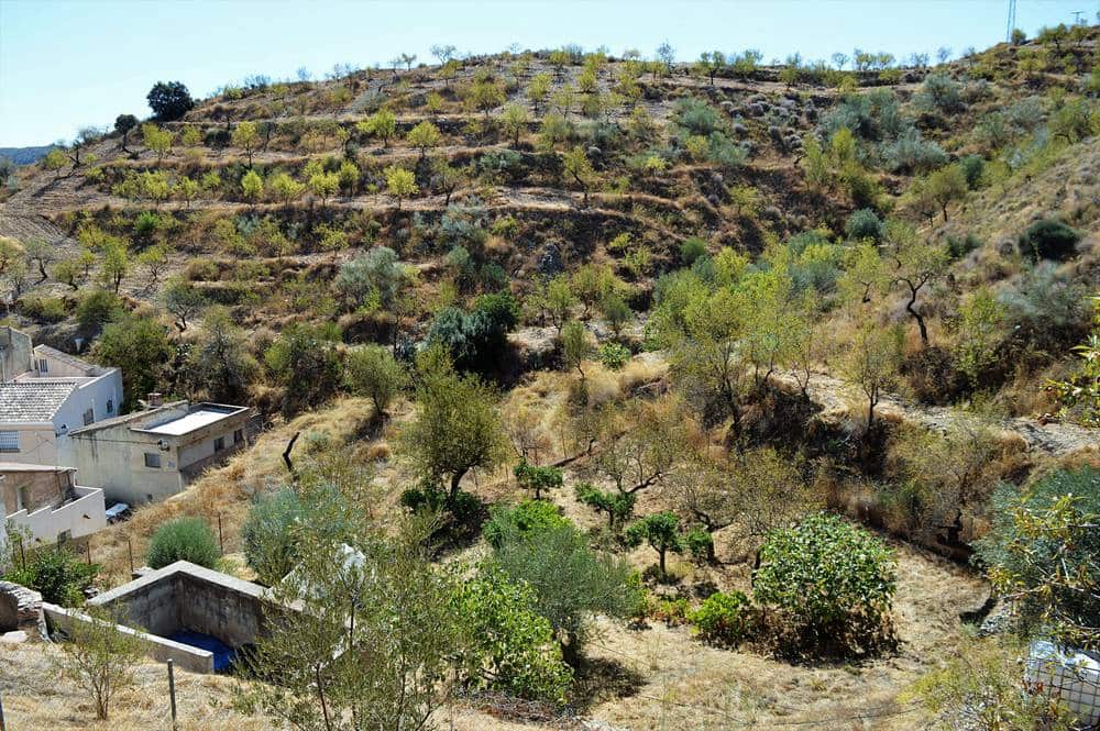 Finca/Country House for sale in Lubrin - € 45,000 (Ref: 7138306)