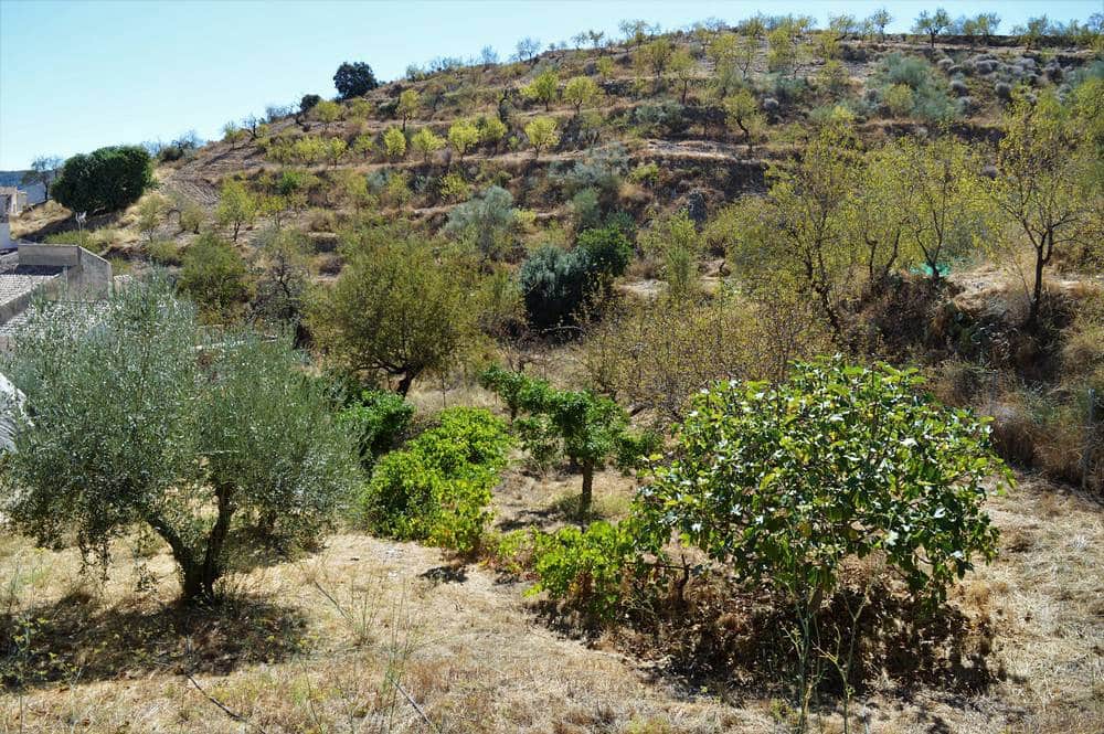 Finca/Country House for sale in Lubrin - € 45,000 (Ref: 7138306)