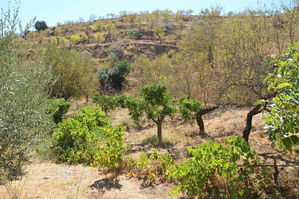 Finca/Country House for sale in Lubrin - € 45,000 (Ref: 7138306)