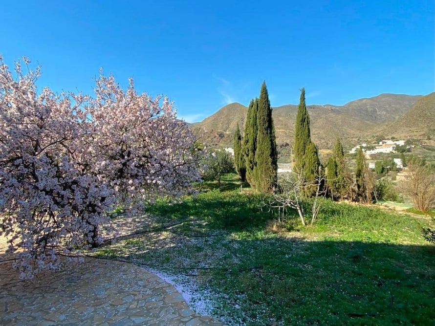 7 soveværelse Finca/Landehus til salg i Carboneras med garage - € 620.000 (Ref: 8193194)