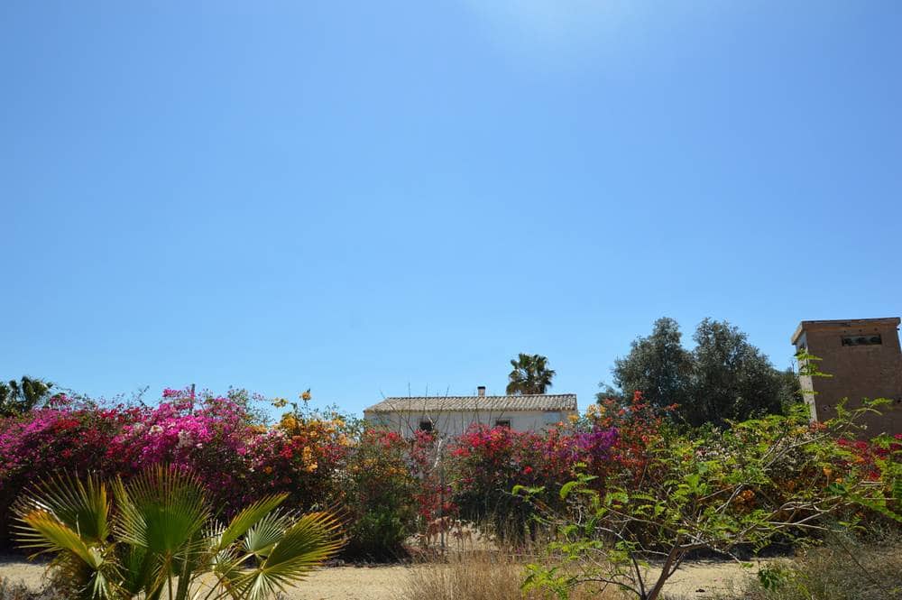 4 soveværelse Finca/Landehus til salg i Antas med swimmingpool garage - € 345.000 (Ref: 8302390)