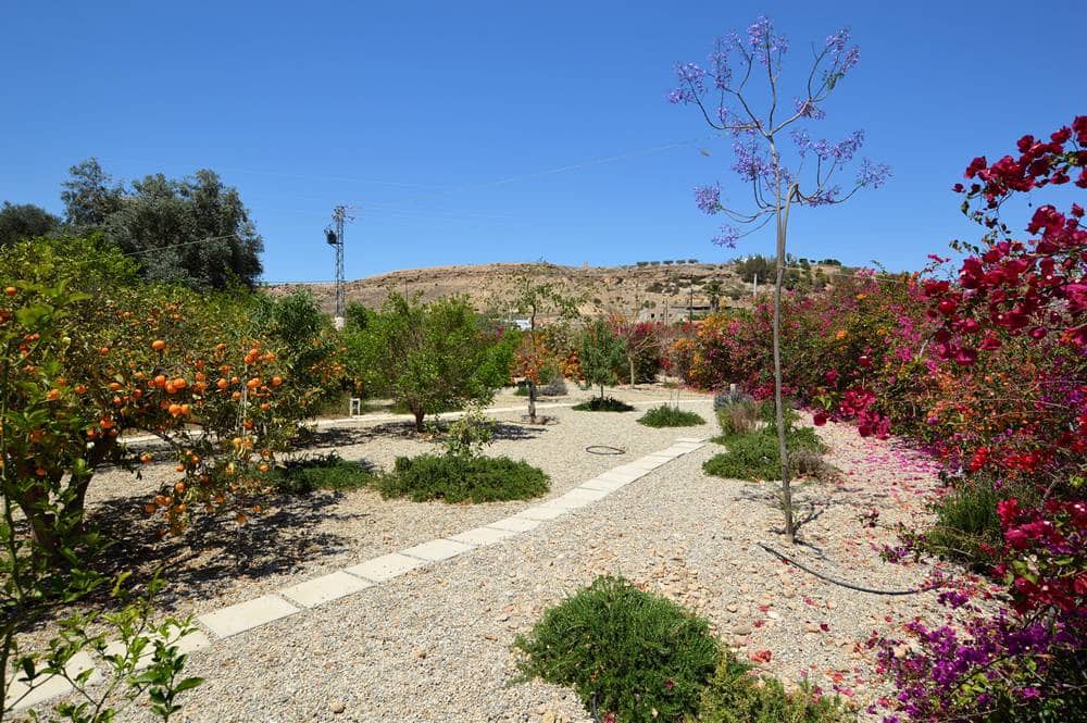 4 soveværelse Finca/Landehus til salg i Antas med swimmingpool garage - € 345.000 (Ref: 8302390)