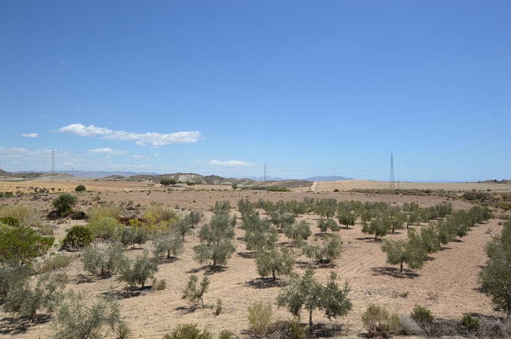 7 soverom Finca/Herregård til salgs i Los Gallardos med garasje - € 420 000 (Ref: 8317246)