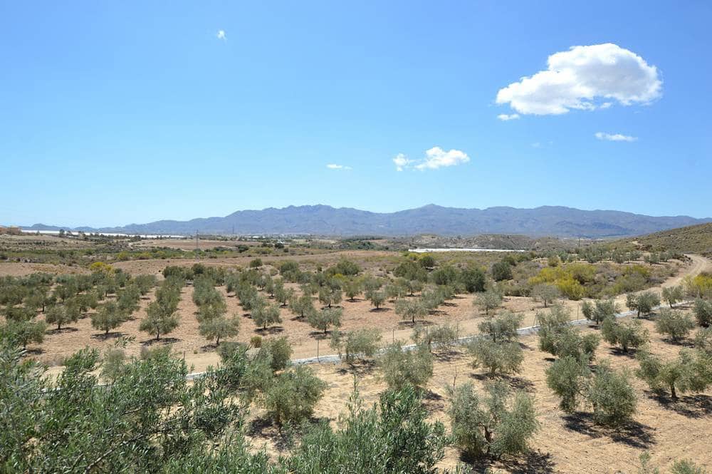 7 soverom Finca/Herregård til salgs i Los Gallardos med garasje - € 420 000 (Ref: 8317246)