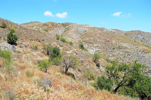 Undeveloped Land for sale in Lubrín - € 14,950 (Ref: 8332661)