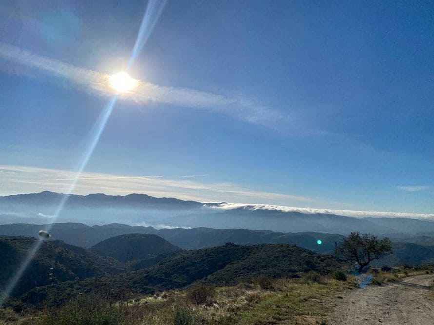 5 soveværelse Finca/Landehus til salg i Bedar med swimmingpool - € 350.000 (Ref: 8684263)